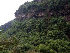 -华蓥山天意谷景区