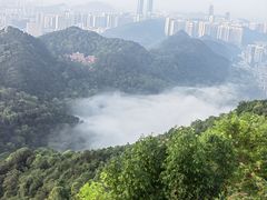 -黔灵山公园