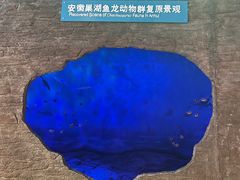 -安徽省地质博物馆