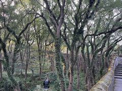-台州府城(江南长城)