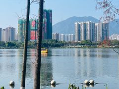 -飞来湖湿地公园