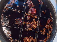 -家一加火锅(绿地翠谷总店)