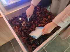 -宝龙广场(蓬莱区)