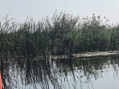 -白洋淀景区