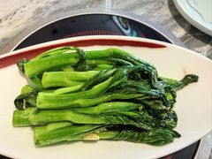 -广东大排档(国奥店)