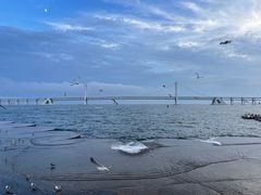 -星海广场
