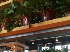 -比格比萨自助(国展店)