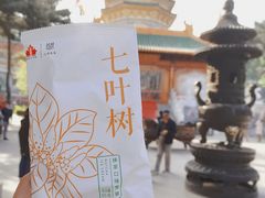 -八大处公园