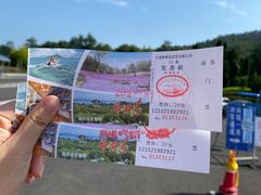 -棒棰岛宾馆景区