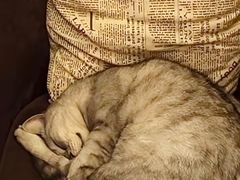 -隅cafe(傅厚岗店)