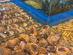 -海铺·渔家虾水饺(皇姑店)