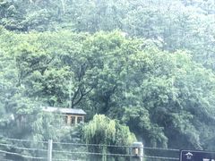 -崂山水果园农家宴(泉水鸡店)