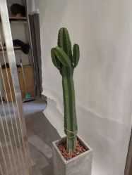 -MAGIC米几发型设计·羊毛卷