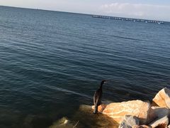-青海湖国家重点风景名胜区售票处