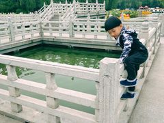 -莲湖公园