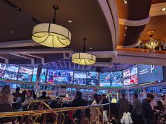 -拉斯维加斯永利酒店