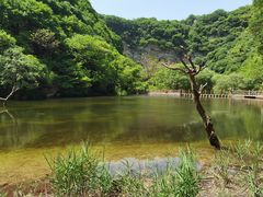 -少华山国家森林公园