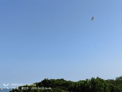 -霞山观海长廊