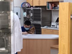 -联合动物医院(光谷诊疗中心)