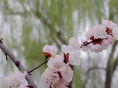 -玄武湖景区-情侣园游乐场