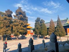 -历代帝王庙博物馆