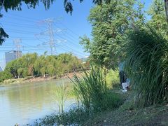 -九里河湿地公园