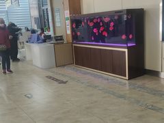 -北京市朝阳区八里庄第二社区卫生服务中心
