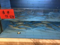 -龙宴海鲜城(经中路店)