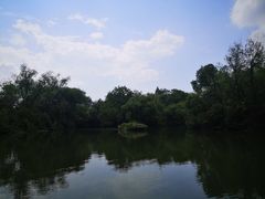 -西溪国家湿地公园