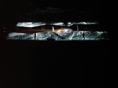 -《12·12》西安事变大型实景演出