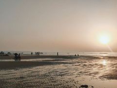 -渡海小渔村.老辈日照菜