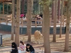 -南京金牛湖风景区