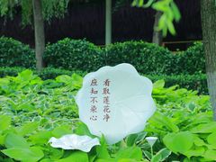 -儿童公园