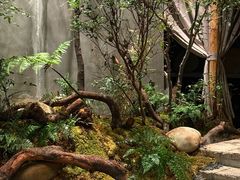-森SPA·泰式按摩·精油Massage(宝安中心店)