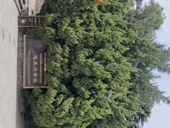 -蓬莱阁景区