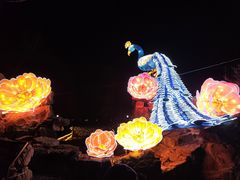 -洛阳市隋唐城遗址植物园