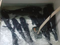 -小小河边鱼(天润城店)