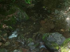-本溪汤沟绿石谷森林公园