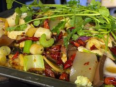 -重庆火锅水库鱼庄(南油店)