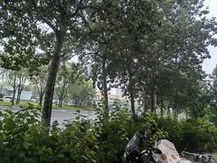 -呼家楼(地铁站)