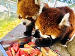 -水上乐园·欢乐世界