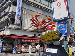 -蟹道乐(道顿堀本店)