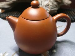 -灵龟之家百象馆(百象馆联合旗舰店)