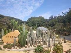 -深圳仙湖植物园-停车场