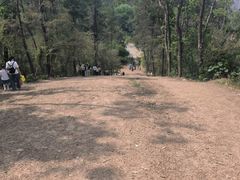-青龙山国家森林公园