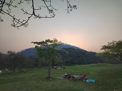 -风云岭森林公园