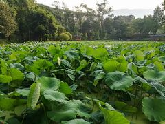 -西南交通大学(峨眉校区)