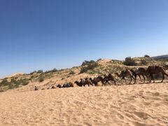 -黄沙古渡原生态旅游区