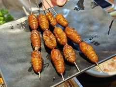 -丹东特色烤肉(学府路一部店)