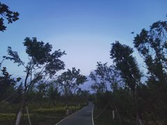 -洨河生态公园